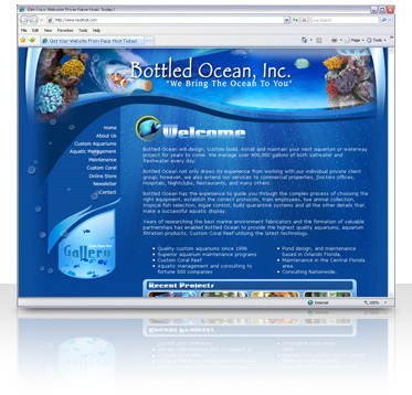 Website on Aquatic Website Design Aquatic Stores Need To Have A Great Website To