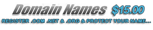 Domain Name Registration