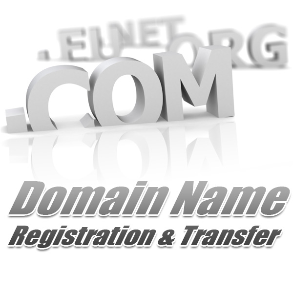 Domain Name Registration