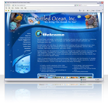 Aquatic Website Design